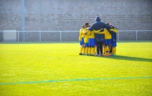 Un week-end vers "l'ascension" pour l'USF ?