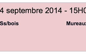 Les Mureaux (DH) en Coupe de France